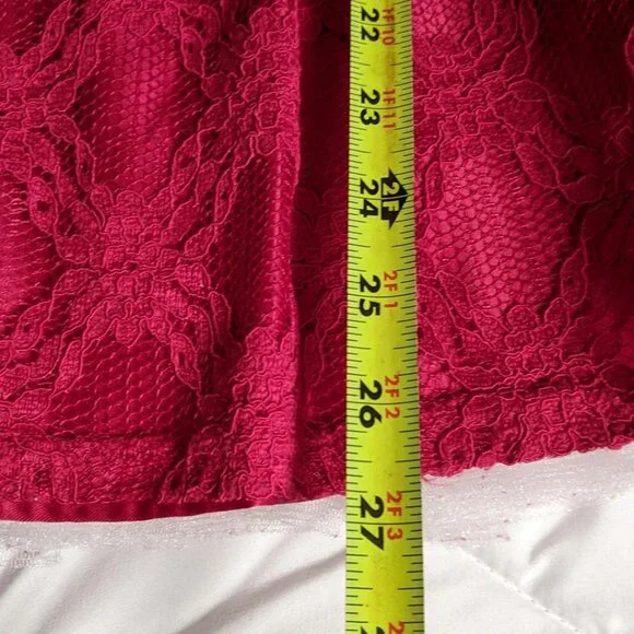 Classic Elegant Lace Dress| Sophisticated Playful Princesscore Vibes - Picture 8 of 8